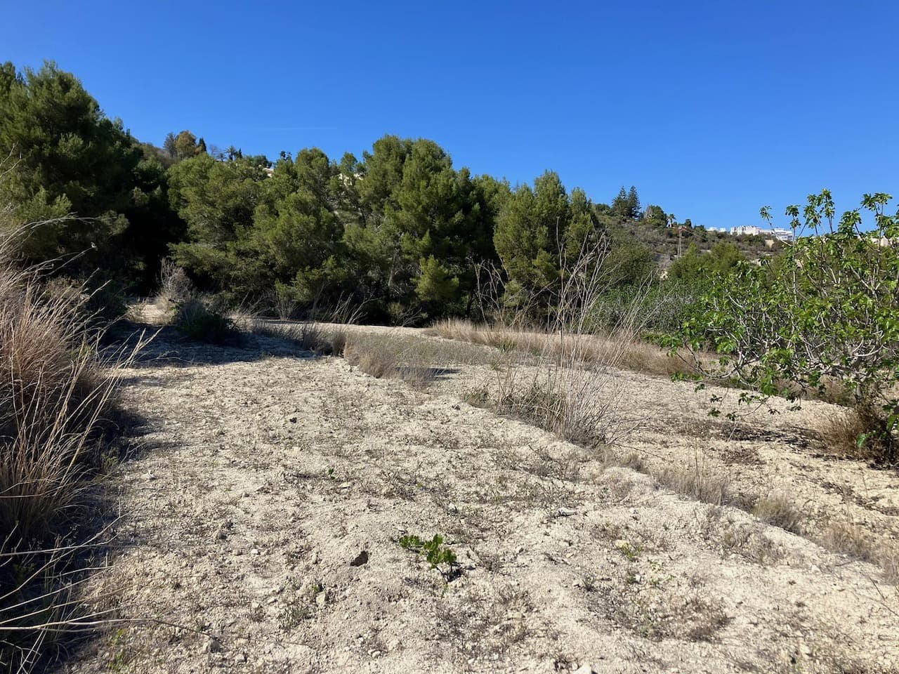 Finca/Country House for sale in Benissa - € 199,000 (Ref: 8314885)