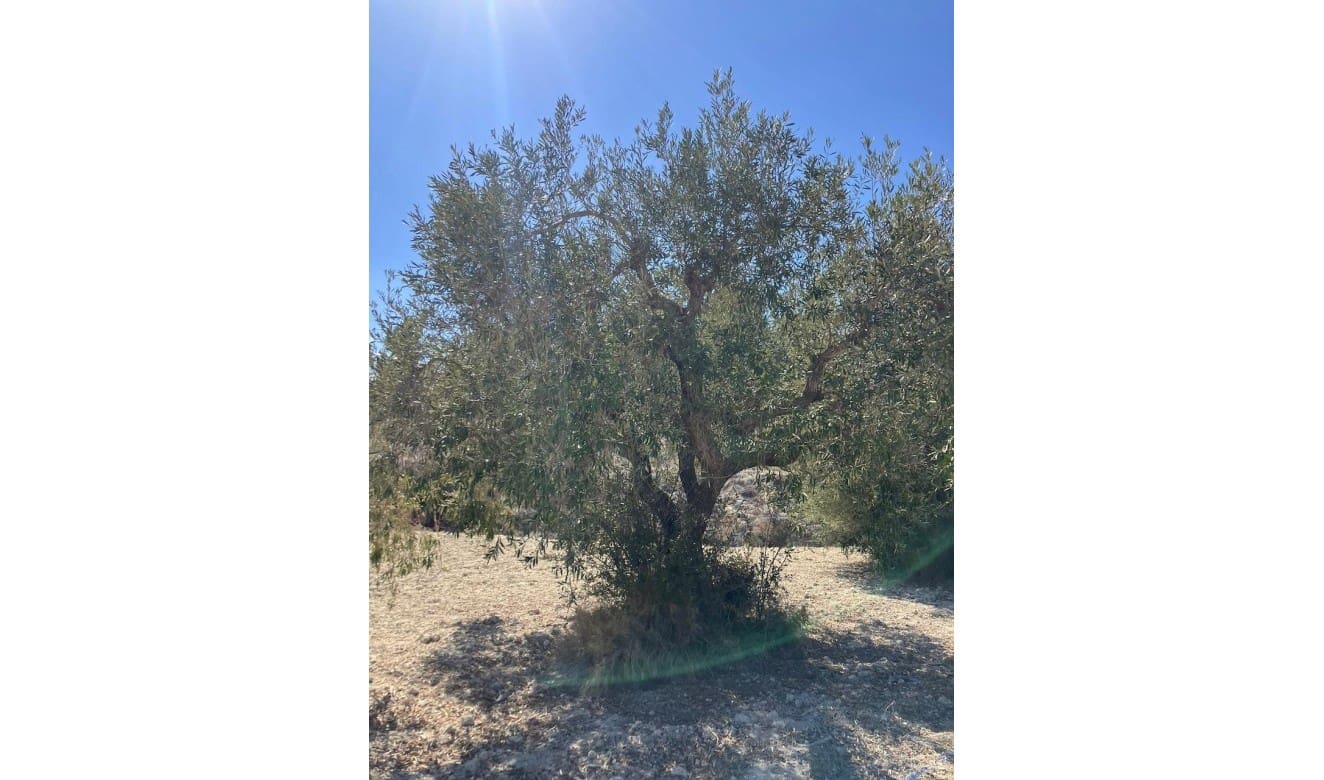 Finca/Country House for sale in Benissa - € 199,000 (Ref: 8314885)