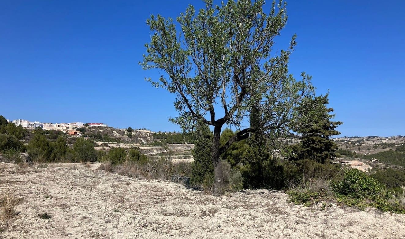 Finca/Country House for sale in Benissa - € 199,000 (Ref: 8314885)