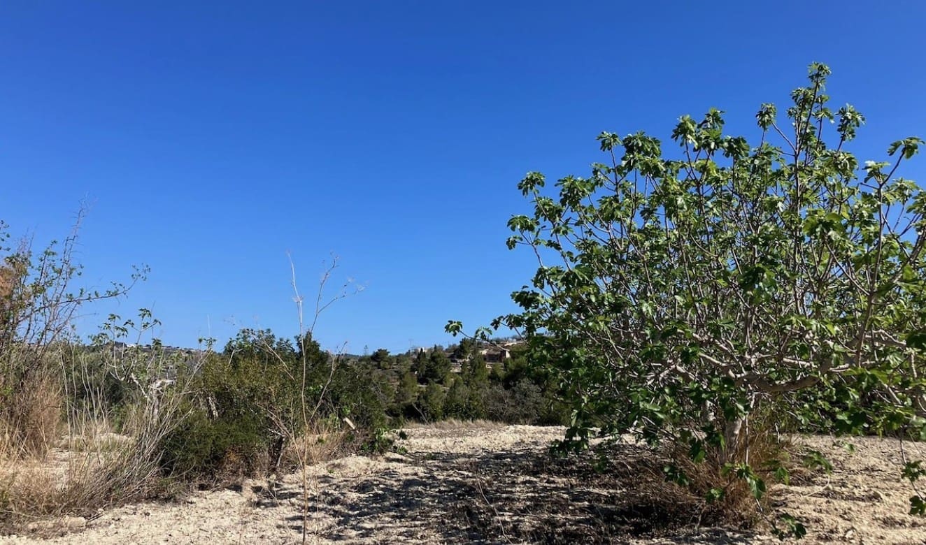 Finca/Country House for sale in Benissa - € 199,000 (Ref: 8314885)