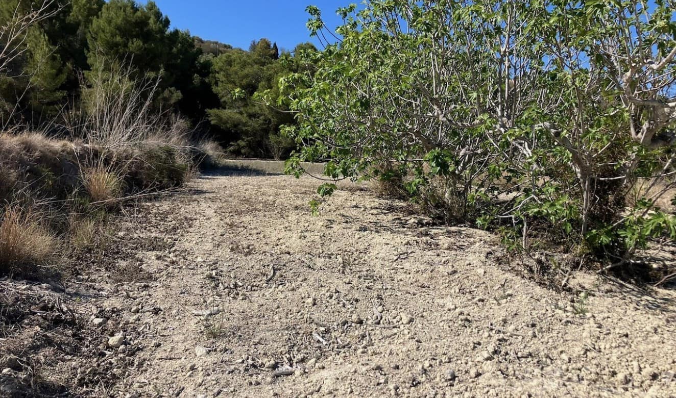 Finca/Country House for sale in Benissa - € 199,000 (Ref: 8314885)