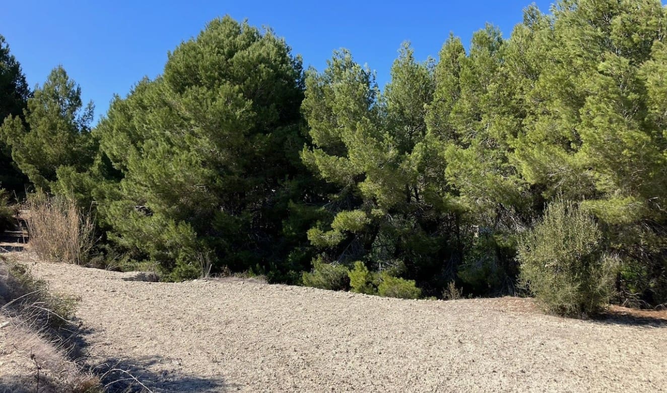 Finca/Country House for sale in Benissa - € 199,000 (Ref: 8314885)