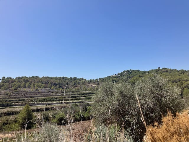 Finca/Herregård til salgs i Teulada Pueblo, Teulada-Moraira - € 400 000 (Ref: 8451472)