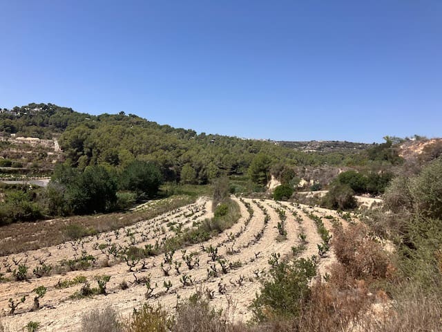 Finca/Herregård til salgs i Teulada Pueblo, Teulada-Moraira - € 400 000 (Ref: 8451472)