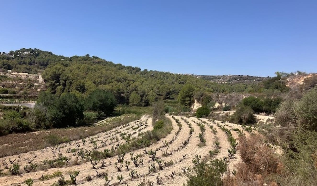 Finca/Landgut zu verkaufen in Teulada - 400.000 € (Ref: 8451472)