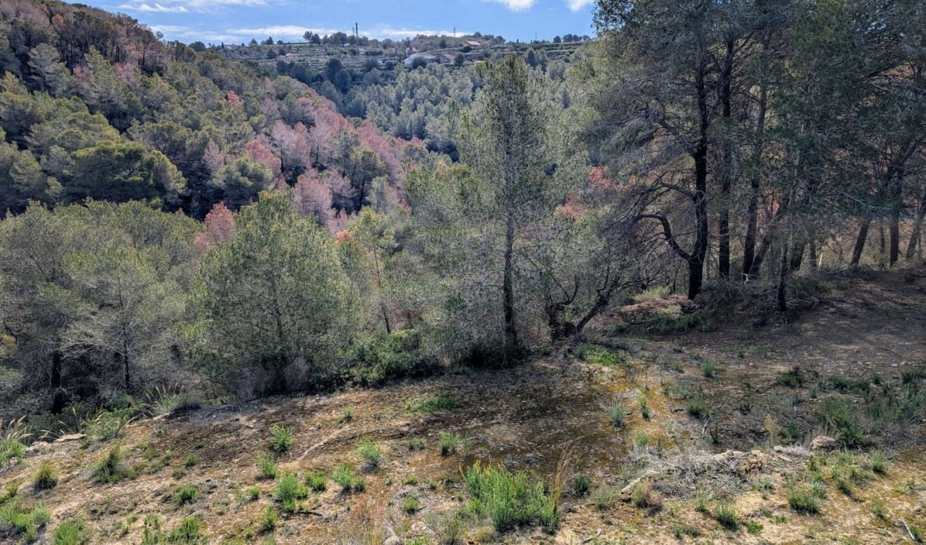 Finca/Maison de Campagne à vendre à Benissa - 999 000 € (Ref: 8894653)