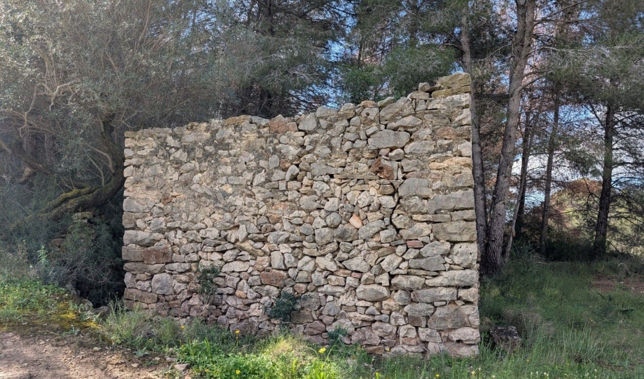 Finca/Maison de Campagne à vendre à Benissa - 999 000 € (Ref: 8894653)