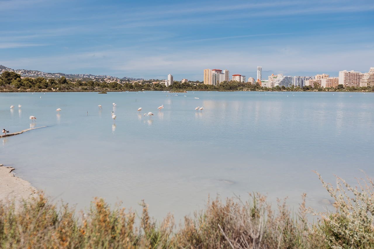 Yksiö myytävänä paikassa Calpe / Calp - 169 000 € (Ref: 9271442)