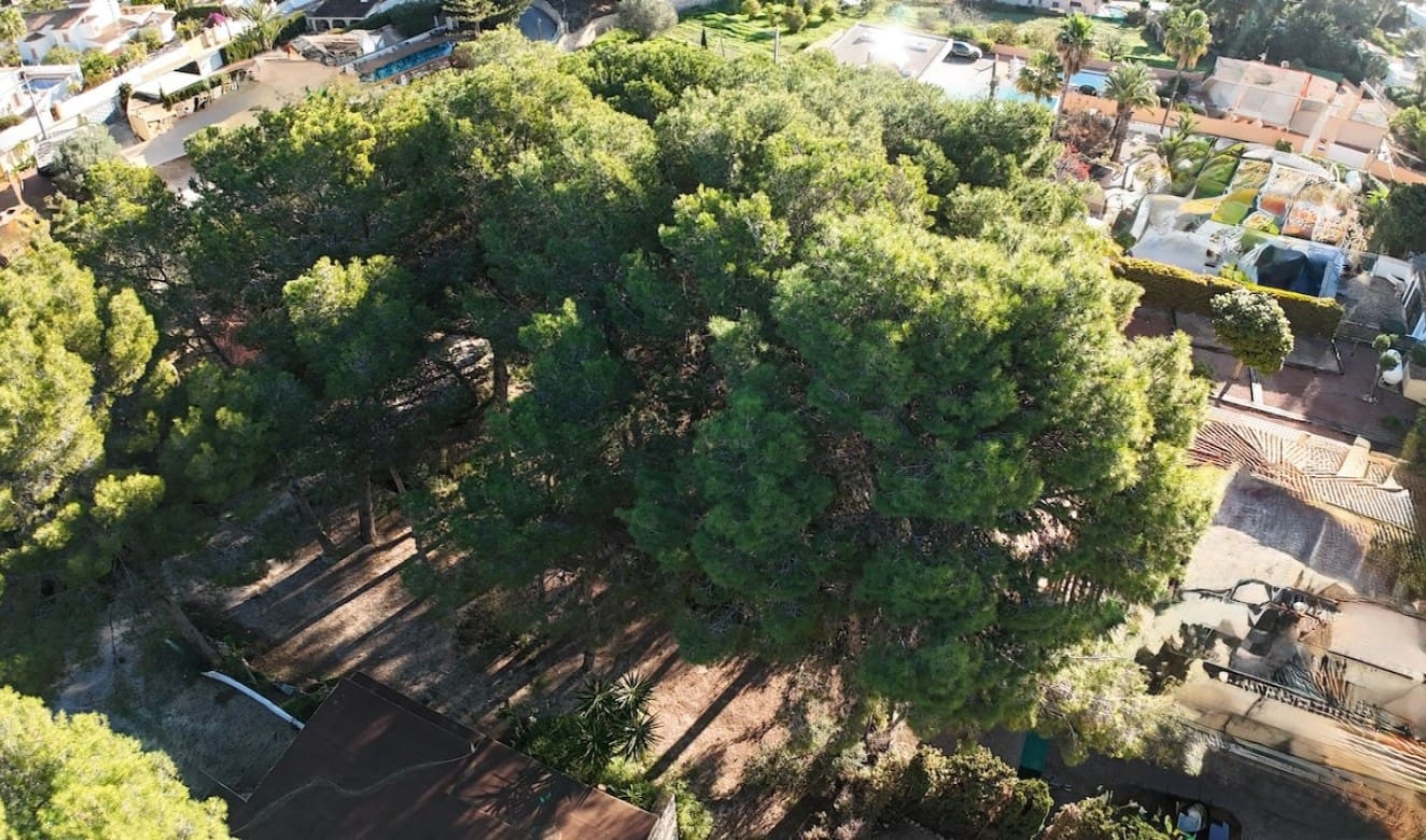 Building Plot for sale in Moraira - € 360,000 (Ref: 9517876)