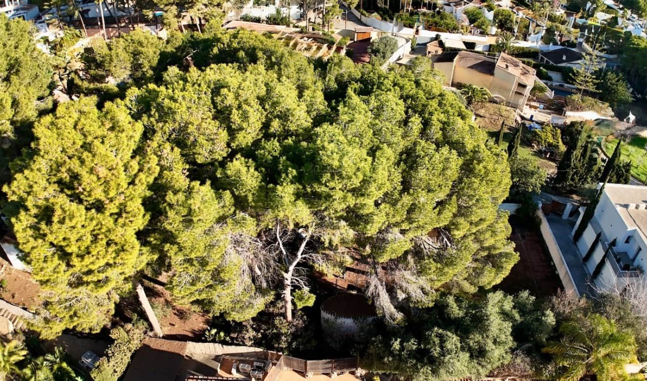 Building Plot for sale in Moraira - € 360,000 (Ref: 9517876)