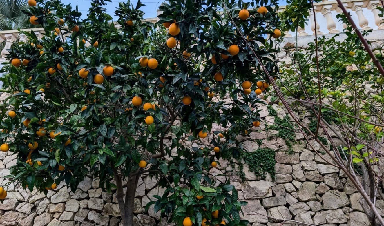 4 camera da letto Villa in vendita in Benissa con piscina - 599.500 € (Rif: 9551198)