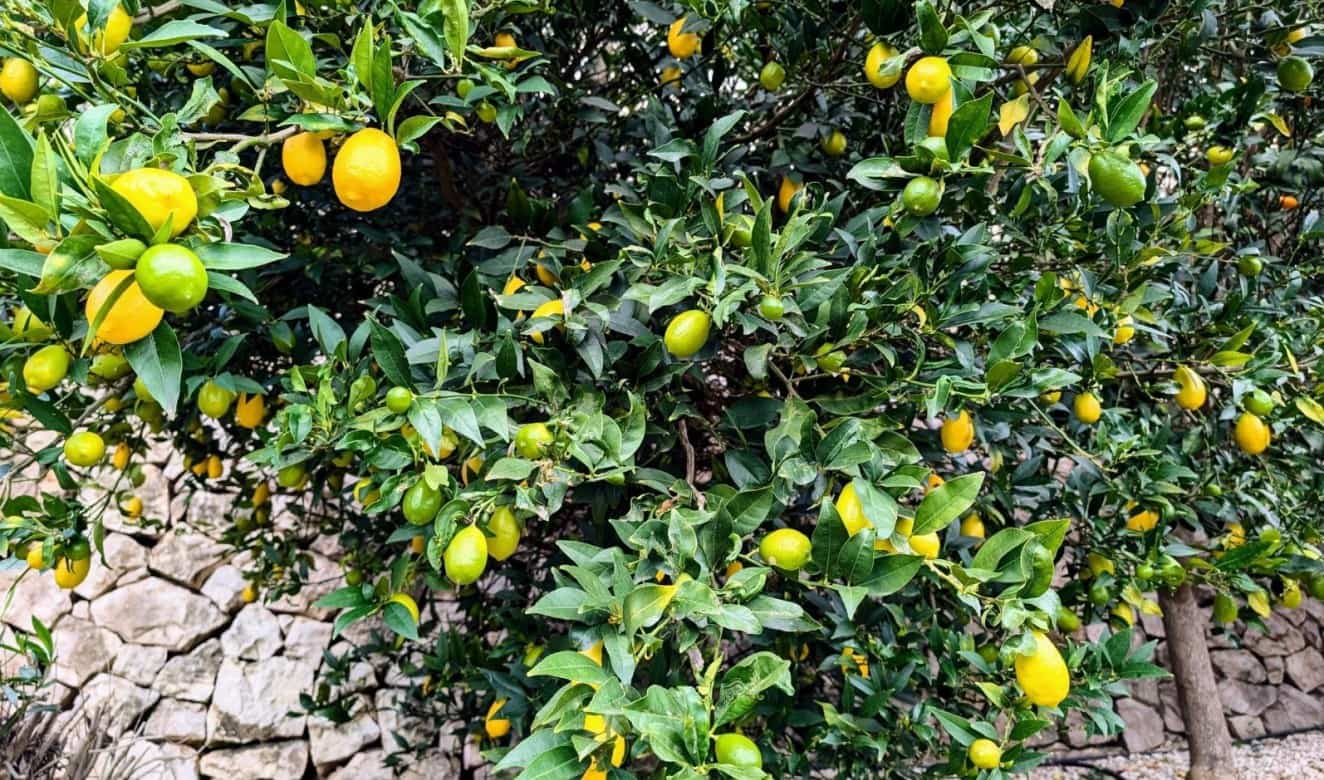 4 camera da letto Villa in vendita in Benissa con piscina - 599.500 € (Rif: 9551198)