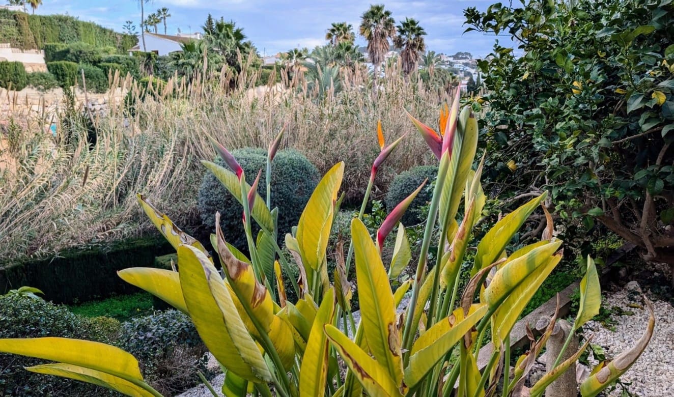 4 camera da letto Villa in vendita in Benissa con piscina - 599.500 € (Rif: 9551198)