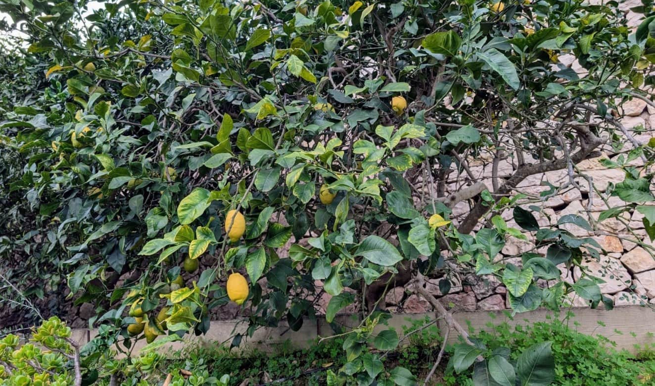 4 camera da letto Villa in vendita in Benissa con piscina - 599.500 € (Rif: 9551198)