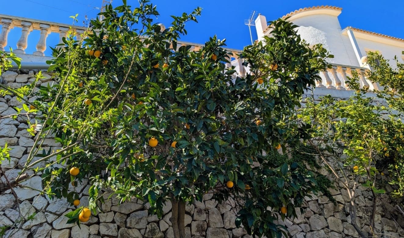 4 bedroom Villa for sale in Benissa with pool - € 599,500 (Ref: 9709059)