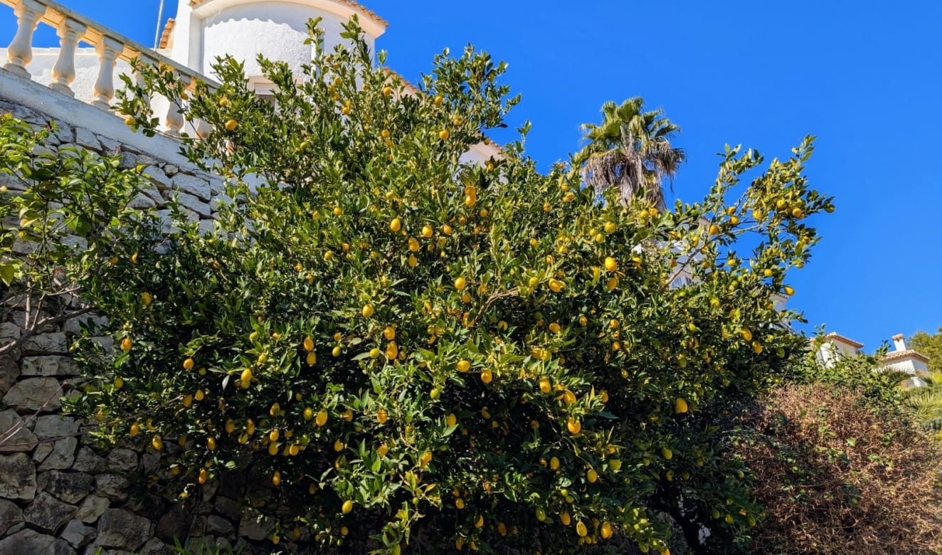 4 bedroom Villa for sale in Benissa with pool - € 599,500 (Ref: 9709059)