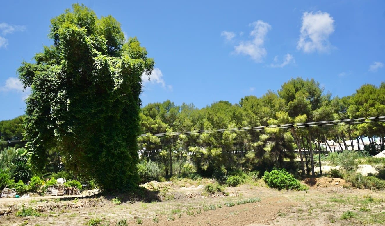 Bouwgrond te koop in Moraira - € 480.000 (Ref: 9753570)