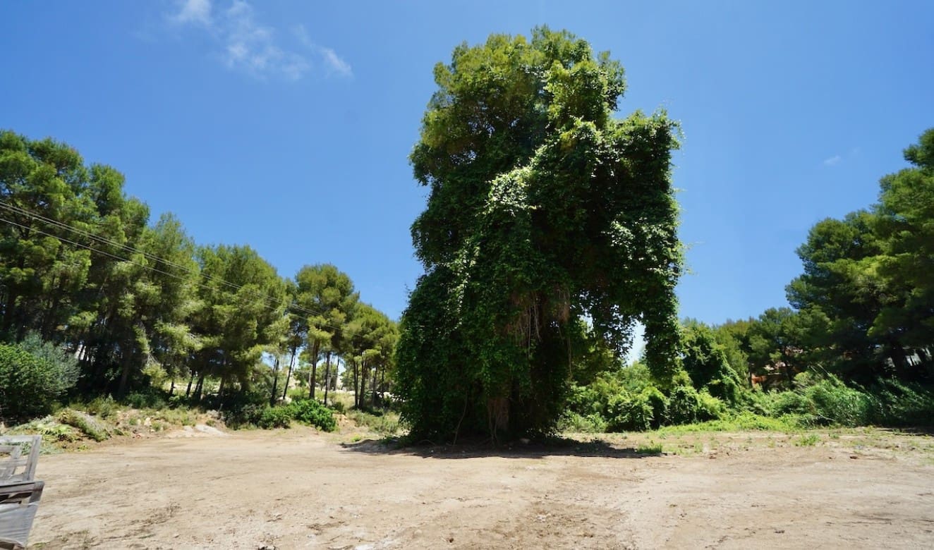 Bouwgrond te koop in Moraira - € 480.000 (Ref: 9753570)