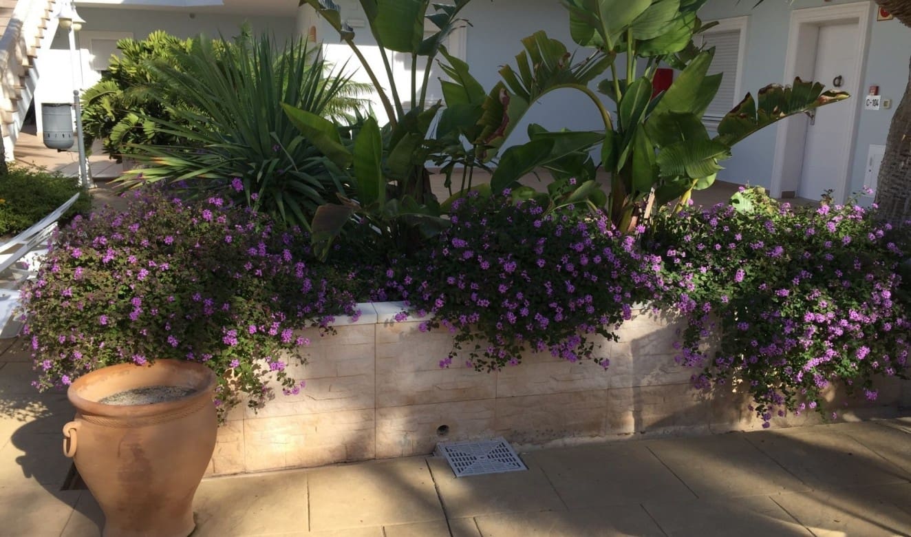 2 makuuhuone Huoneisto myytävänä paikassa Benissa - 335 000 € (Ref: 9756675)