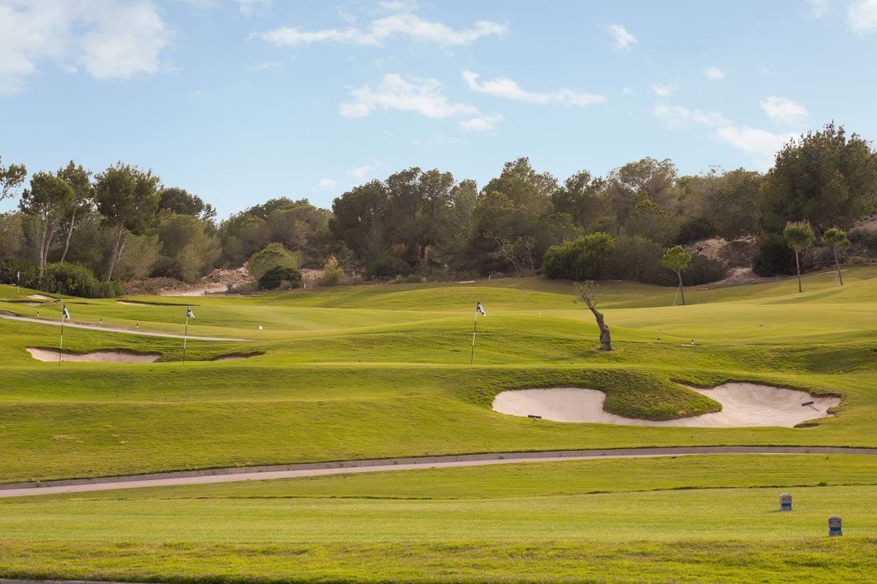 3 bedroom Villa for sale in San Miguel de Salinas with pool garage - € 1,165,000 (Ref: 9458740)