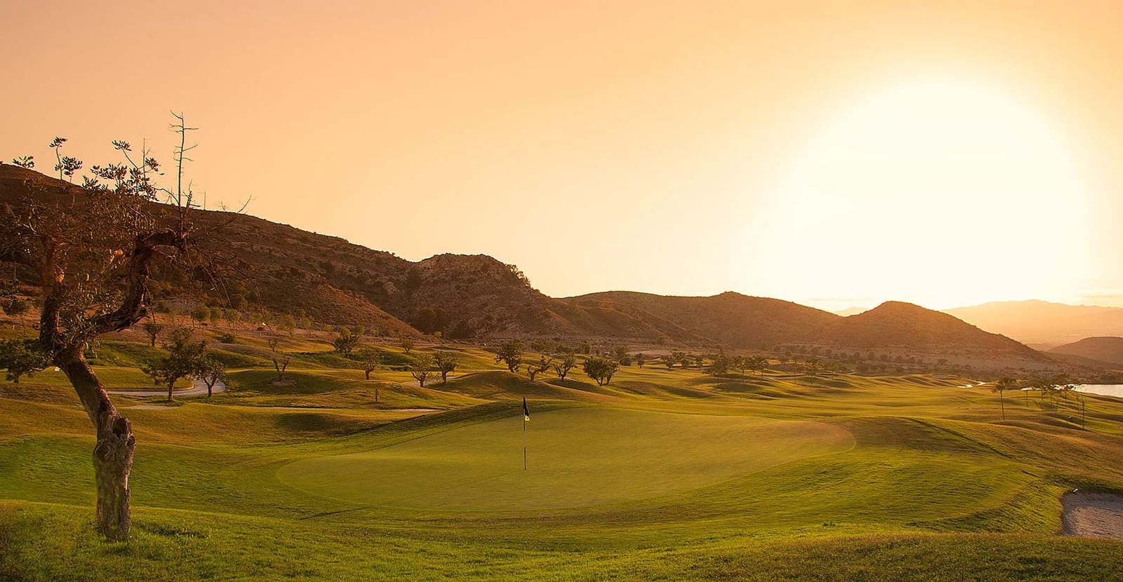 2 bedroom Townhouse for sale in Monforte del Cid with pool - € 395,000 (Ref: 9458745)