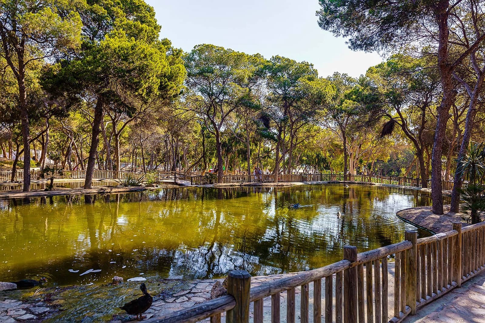 3 bedroom Apartment for sale in Guardamar del Segura with garage - € 349,500 (Ref: 9458770)