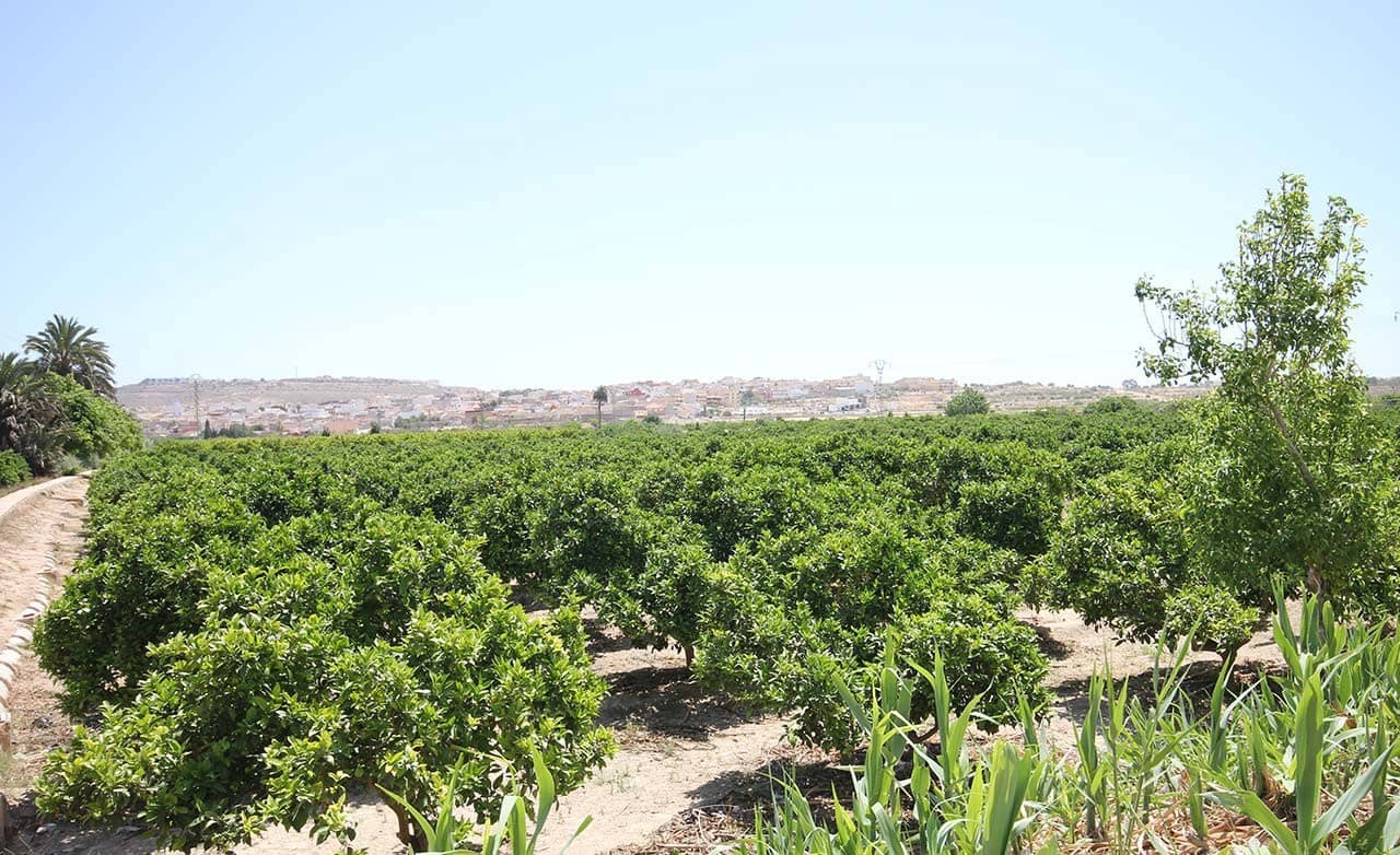 3 sypialnia Apartament na sprzedaż w Benijofar z basenem - 354 000 € (Ref: 9458805)