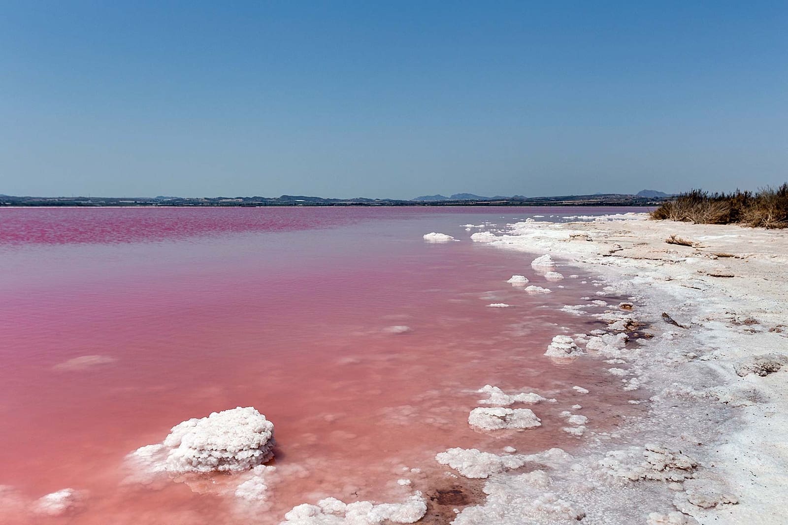 2 quarto Bungalow para venda em Torrevieja com piscina - 299 900 € (Ref: 9458822)