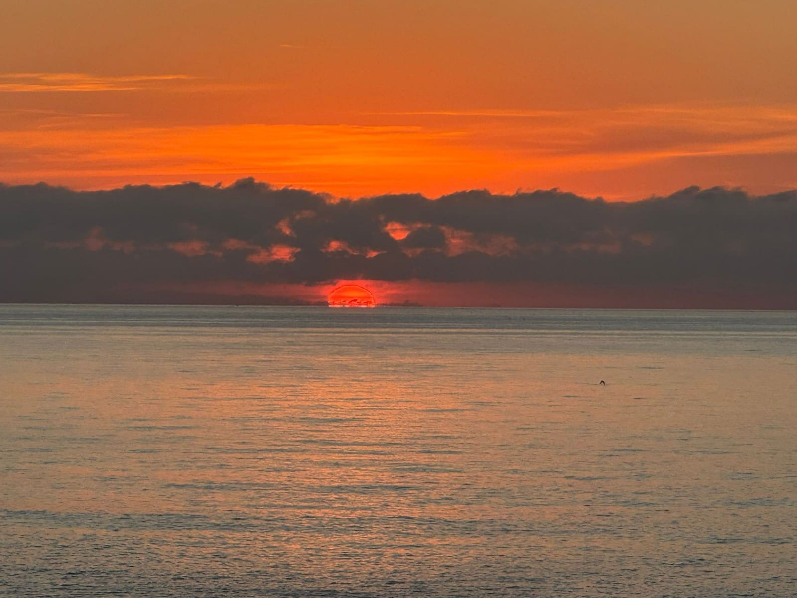 4 sovrum Villa till salu i Cala Panizo med pool garage - 1 070 000 € (Ref: 9459278)