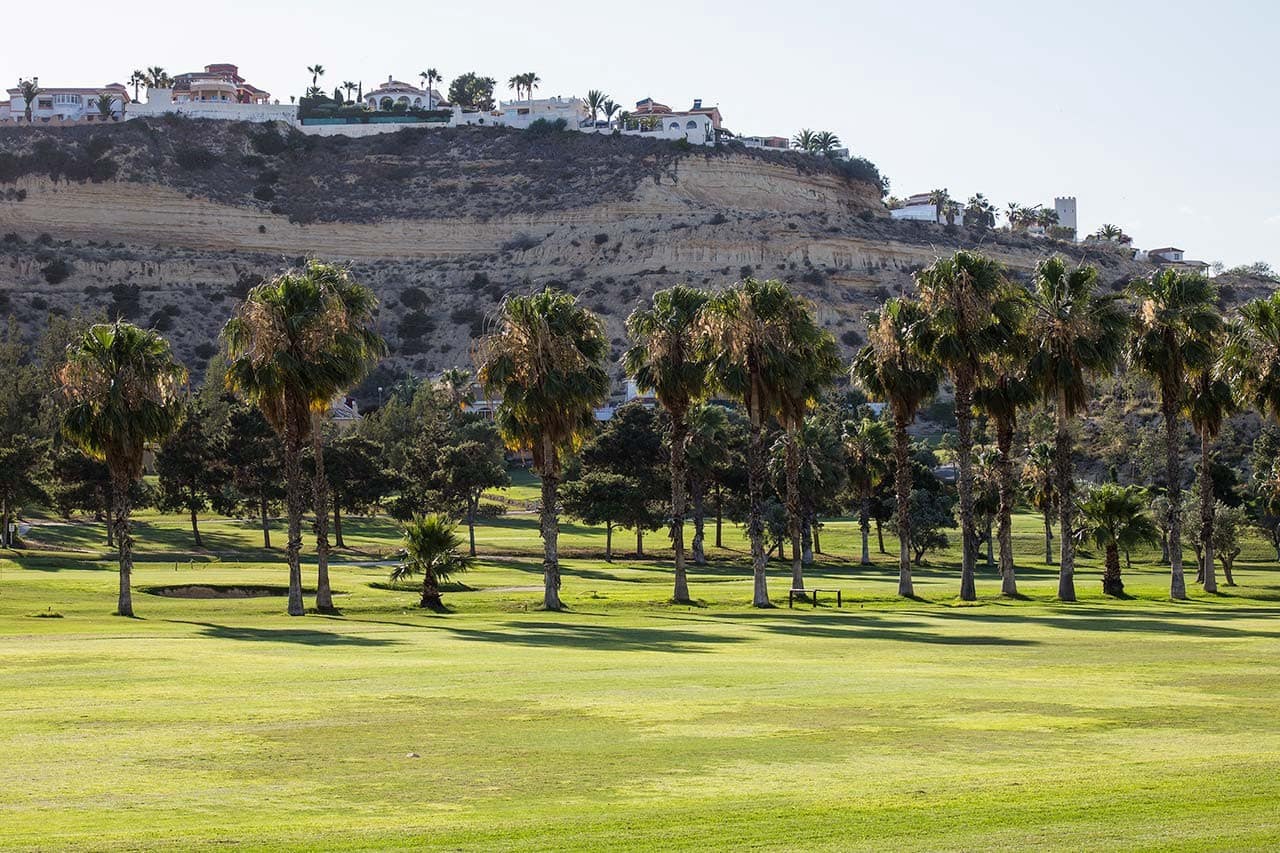 2 bedroom Penthouse for sale in El Pinet with pool garage - € 290,000 (Ref: 9459335)