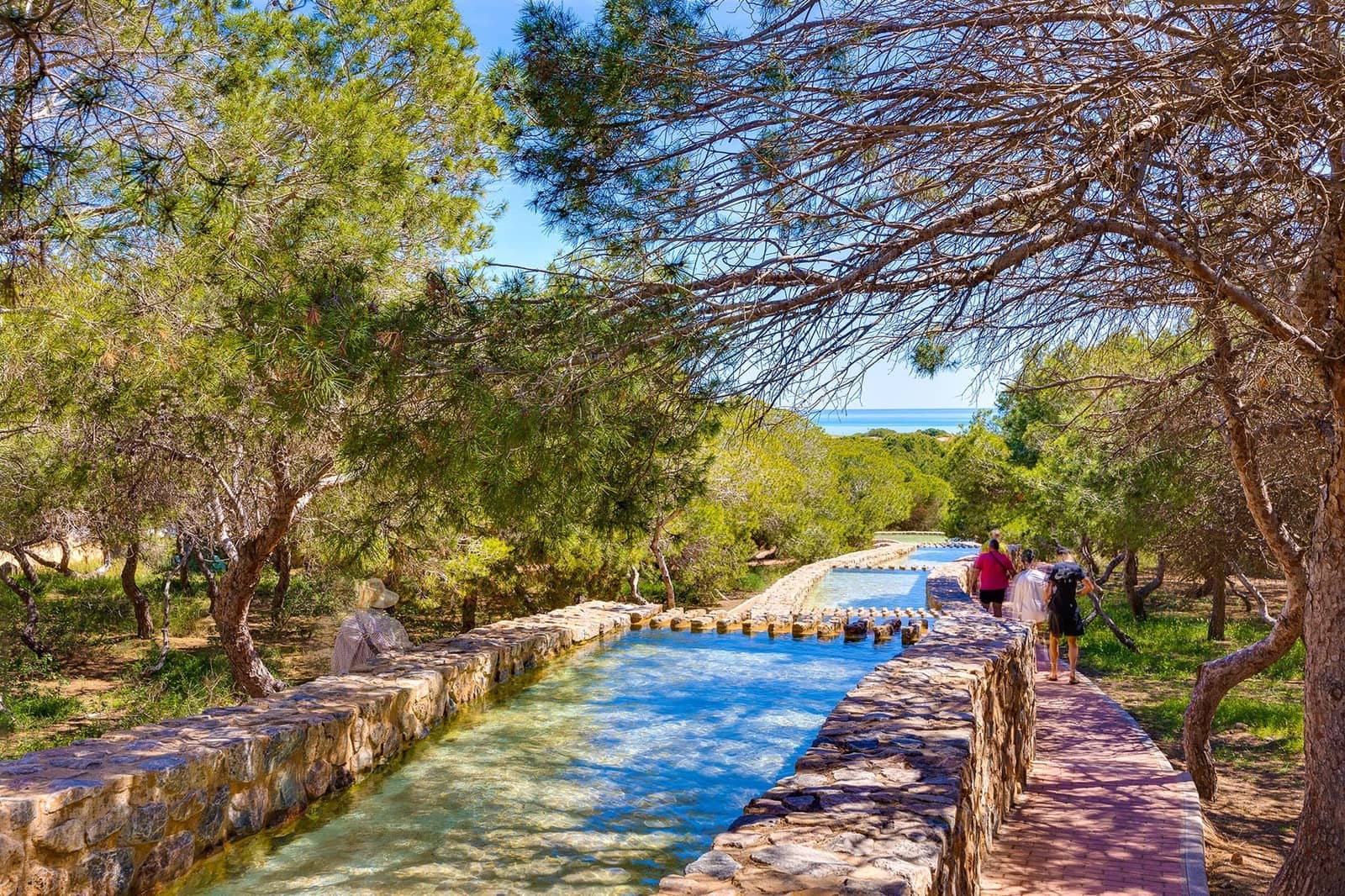 2 Zimmer Apartment zu verkaufen in Torrevieja mit Pool Garage - 205.000 € (Ref: 9459359)