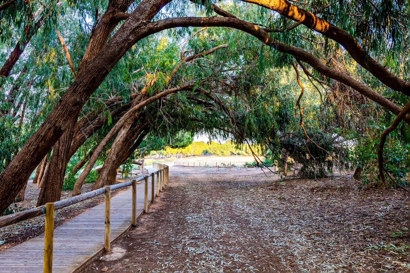 2 Zimmer Apartment zu verkaufen in Torrevieja mit Pool Garage - 205.000 € (Ref: 9459359)