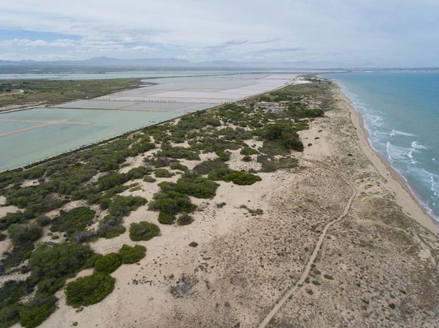 Apartamento de 2 habitaciones en El Pinet, Elche / Elx en venta con piscina garaje - 246.000 € (Ref: 9487197)