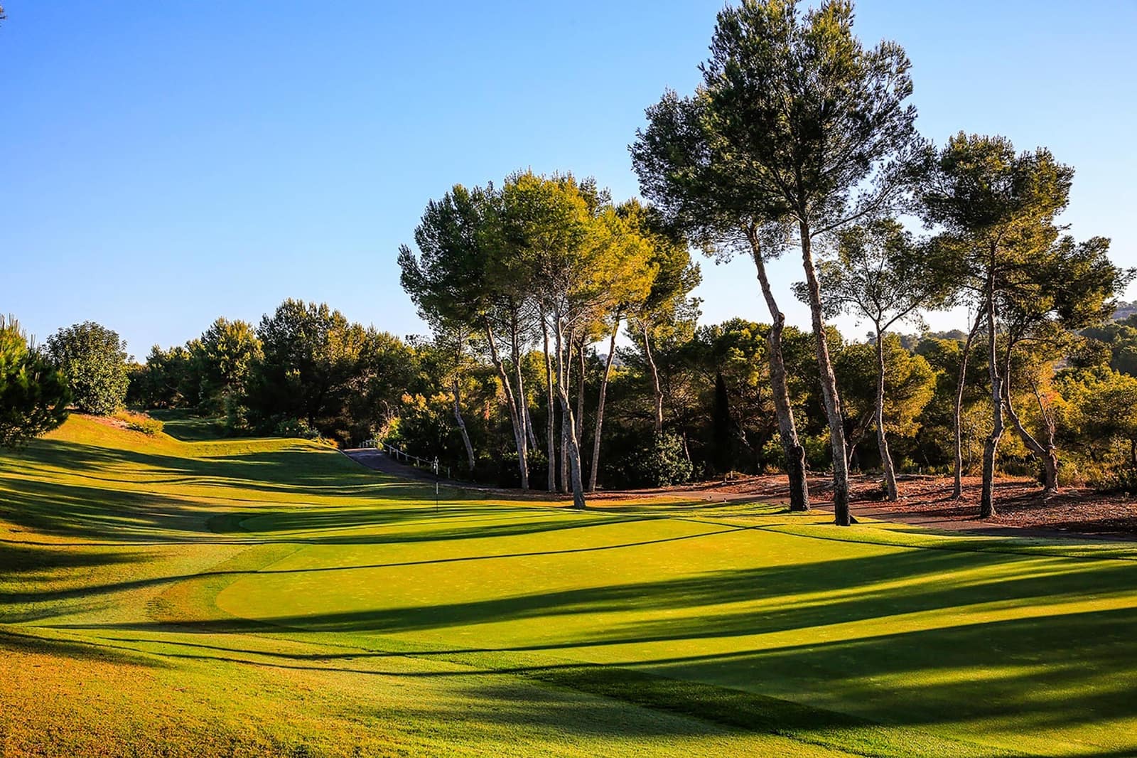 3 sovrum Villa till salu i Las Colinas Golf med pool garage - 1 090 000 € (Ref: 9938455)