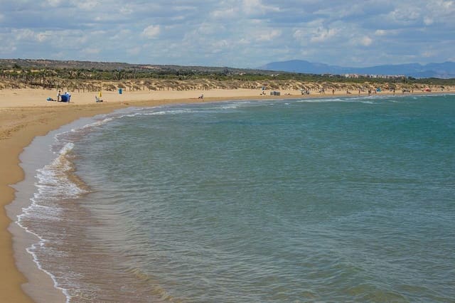2 soverom Penthouse til salgs i El Pinet, Elche / Elx med svømmebasseng garasje - € 299 000 (Ref: 9996532)