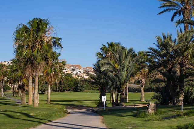 2 soverom Penthouse til salgs i El Pinet, Elche / Elx med svømmebasseng garasje - € 299 000 (Ref: 9996532)