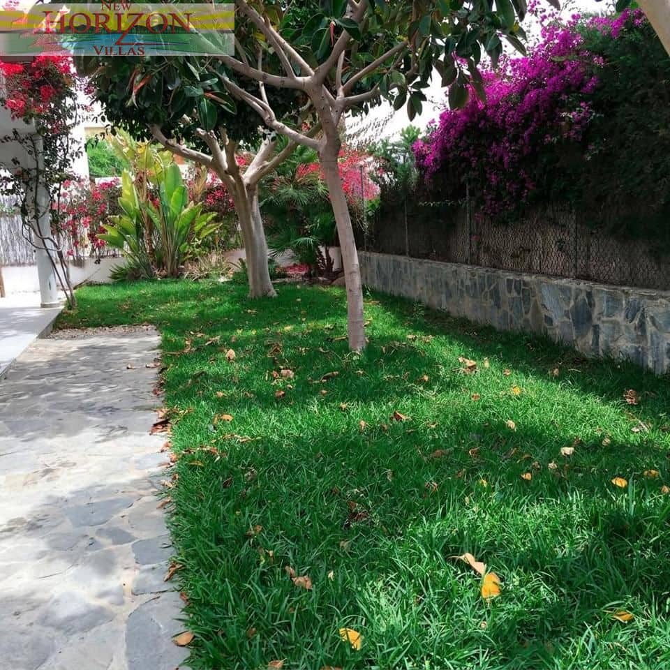 Villa/Maison de 4 chambres à louer à Puerto del Rey - 900 € (Ref: 10084940)