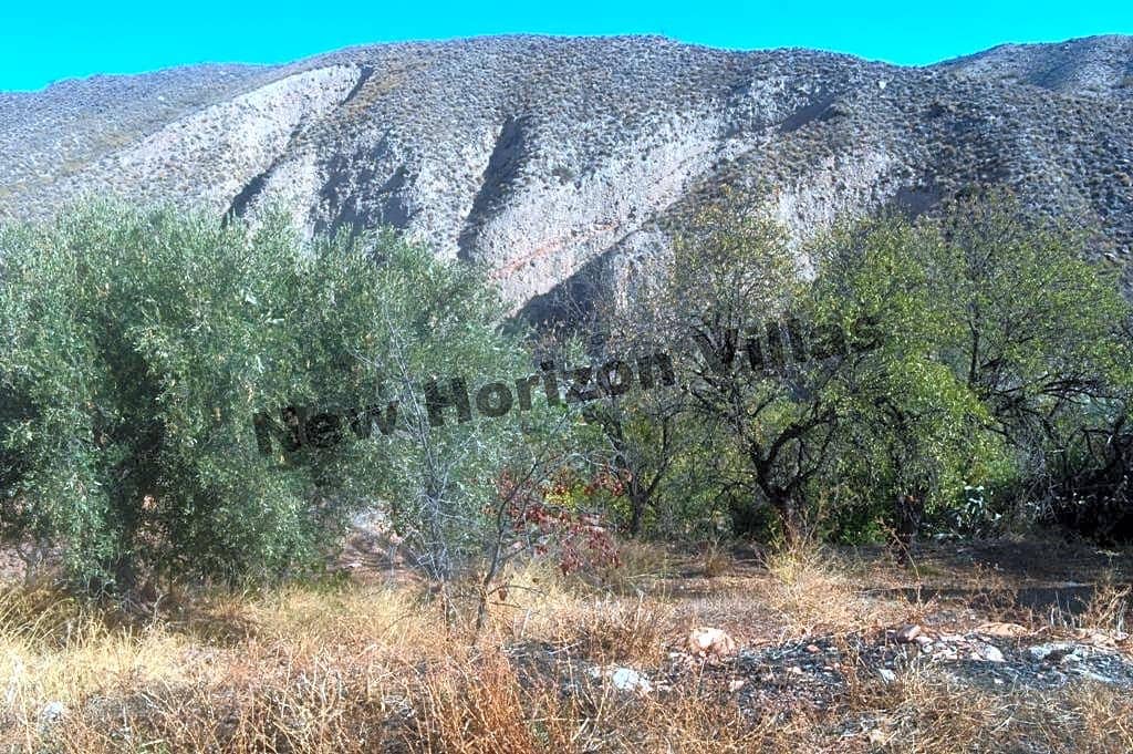 4 sypialnia Finka/Dom wiejski na sprzedaż w Arboleas - 36 000 € (Ref: 4340633)