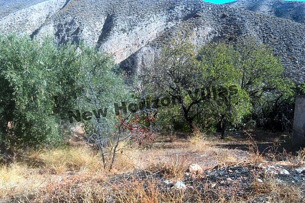 4 sypialnia Finka/Dom wiejski na sprzedaż w Arboleas - 36 000 € (Ref: 4340633)