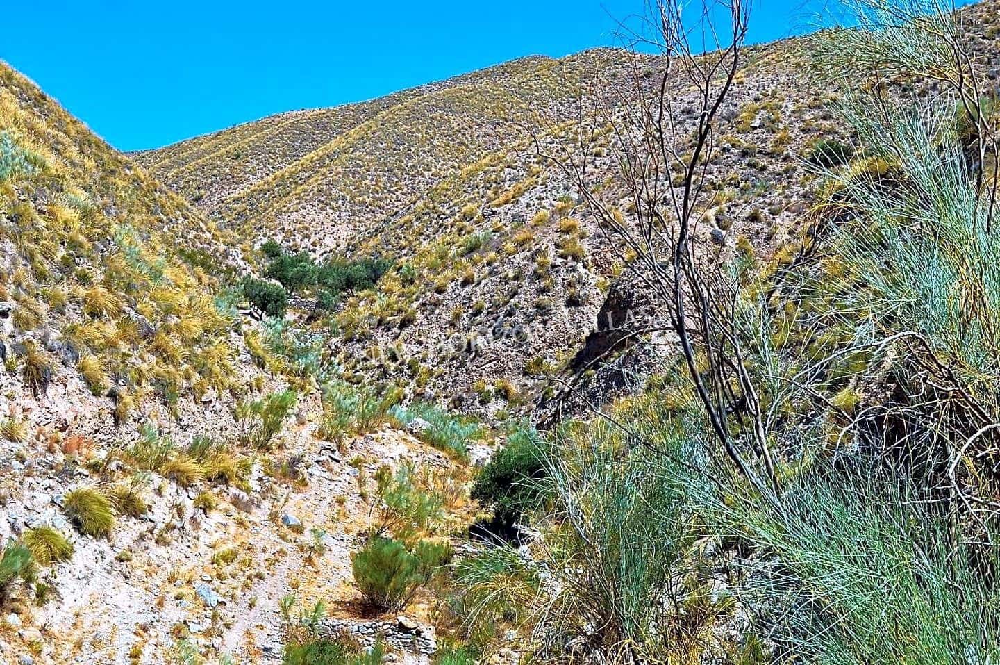 5 soveværelse Villa til salg i Cantoria med garage - € 89.990 (Ref: 4737178)