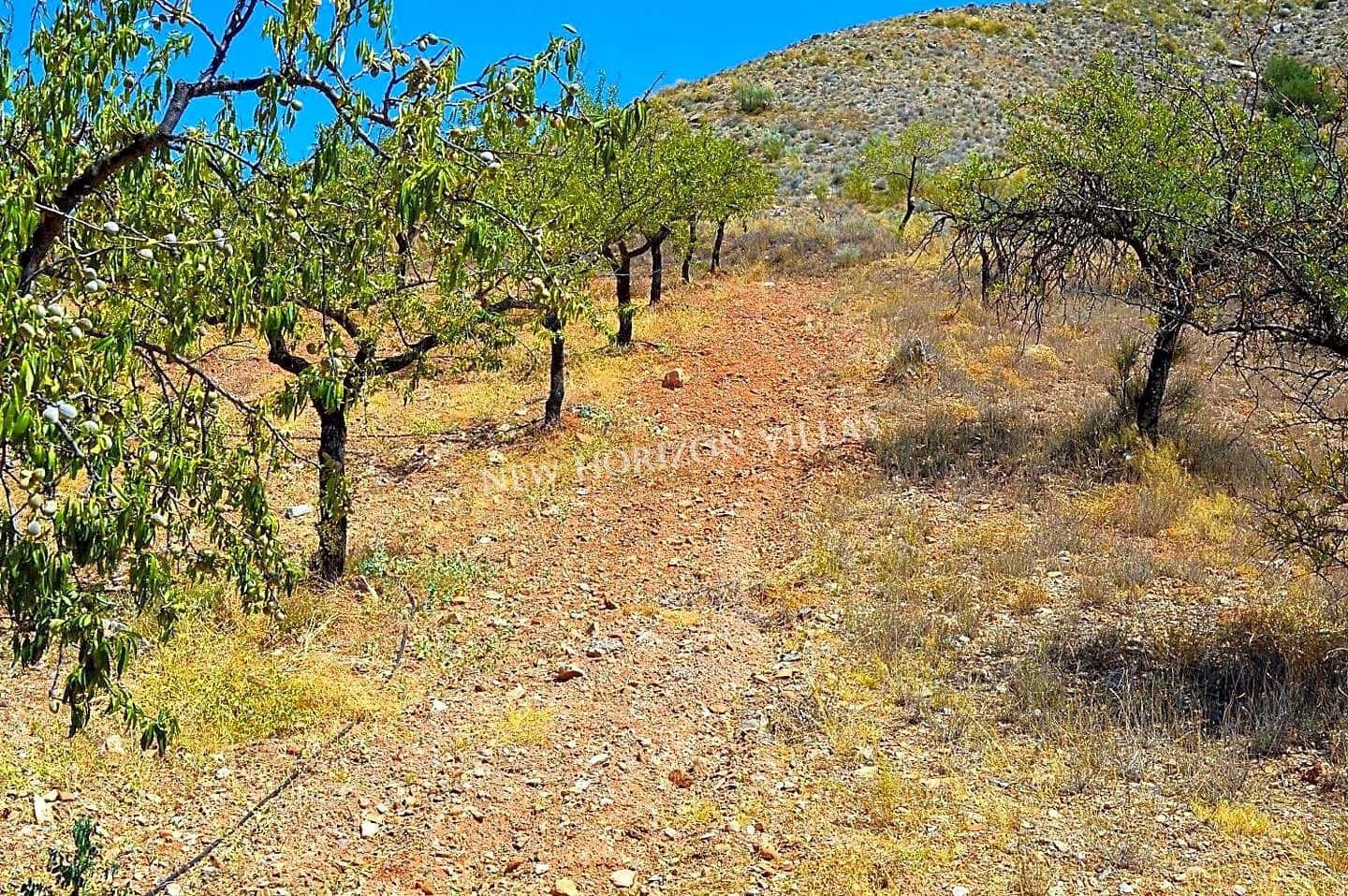 5 soveværelse Villa til salg i Cantoria med garage - € 89.990 (Ref: 4737178)