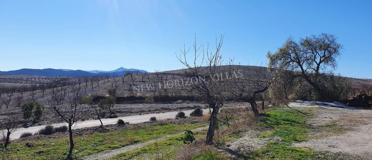 3 makuuhuone Maalaistalo vuokrattavana paikassa Oria - 390 € (Ref: 5823246)