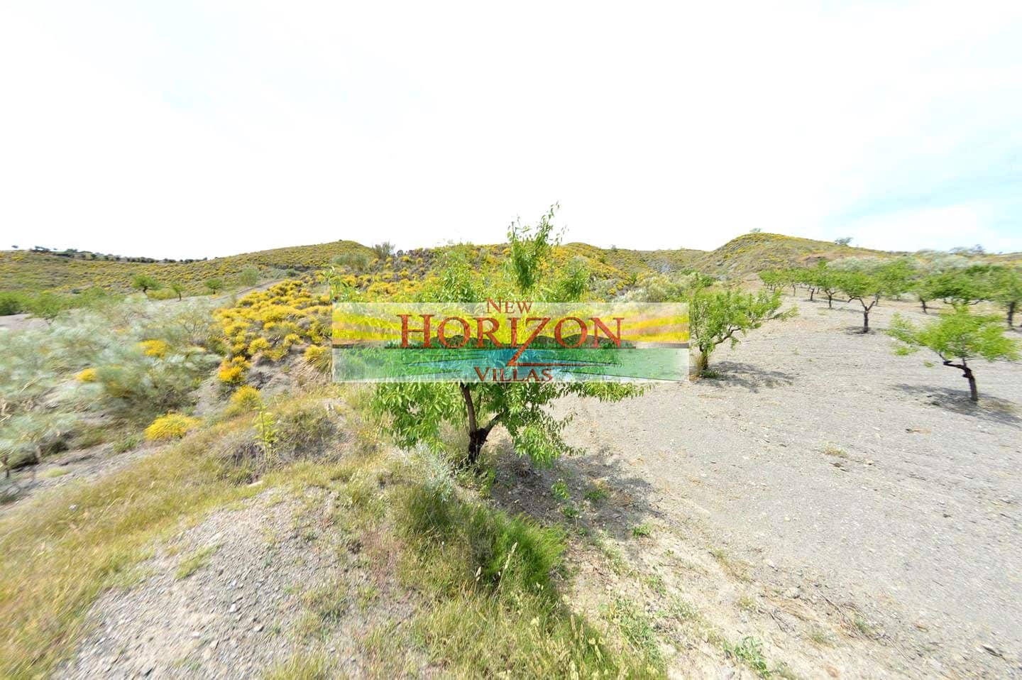 4 chambre Villa/Maison à vendre à Taberno - 395 000 € (Ref: 9051845)