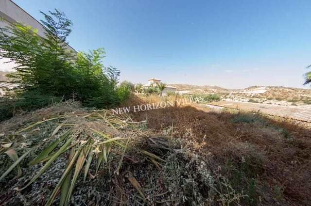Undeveloped Land for sale in Arboleas - € 29,000 (Ref: 9395240)