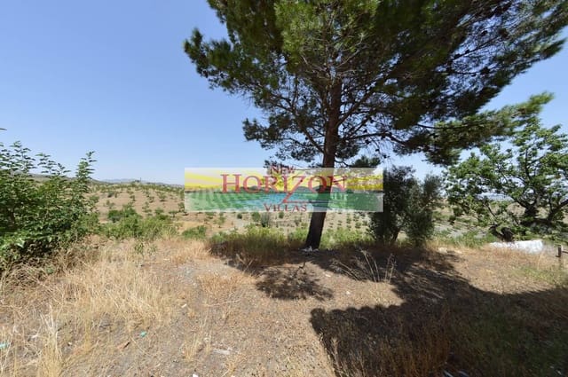 3 soveværelse Villa til salg i Vélez-Rubio med garage - € 60.000 (Ref: 9563828)