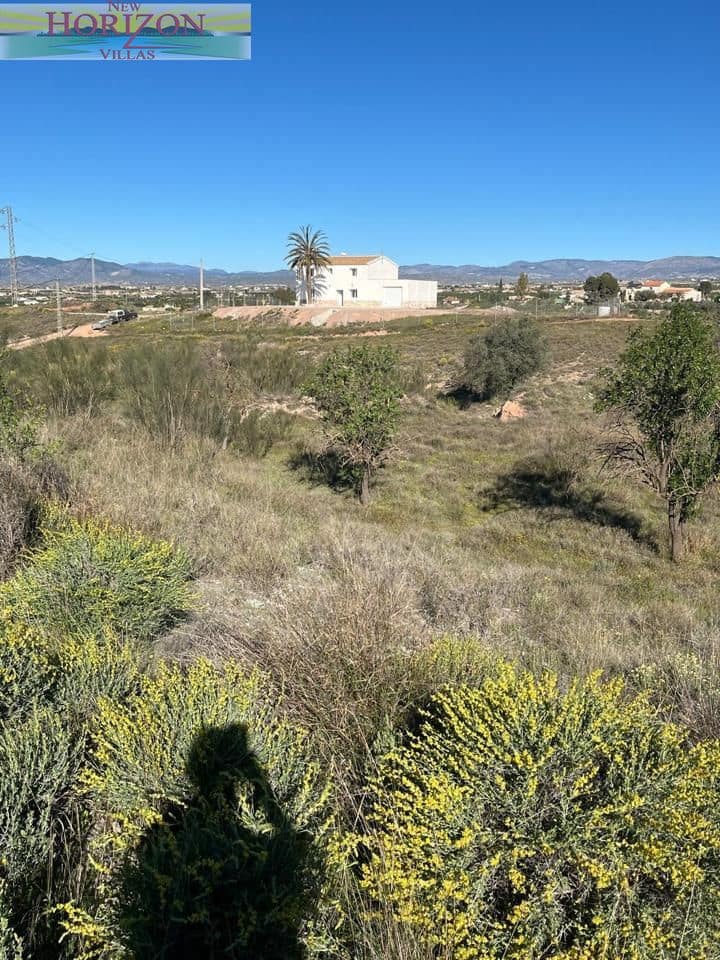 4 makuuhuone Huvila vuokrattavana paikassa Albox mukana uima-altaan 
autotalli - 1 200 € (Ref: 9598048)