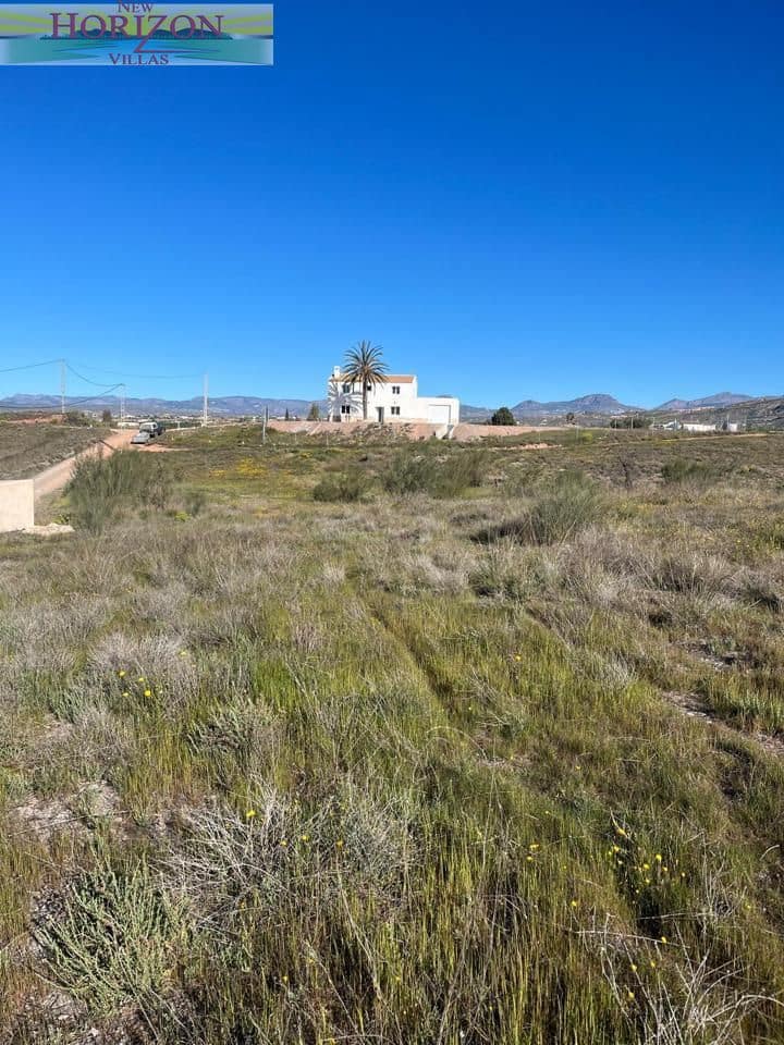 4 makuuhuone Huvila vuokrattavana paikassa Albox mukana uima-altaan 
autotalli - 1 200 € (Ref: 9598048)