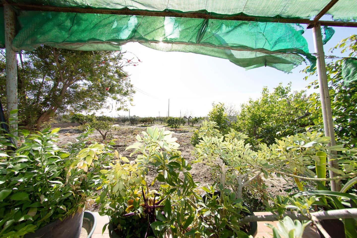 3 soveværelse Virksomhed til salg i Lorca - € 340.000 (Ref: 9776986)