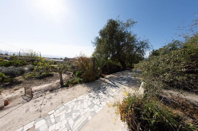 3 soveværelse Virksomhed til salg i Lorca - € 340.000 (Ref: 9776986)