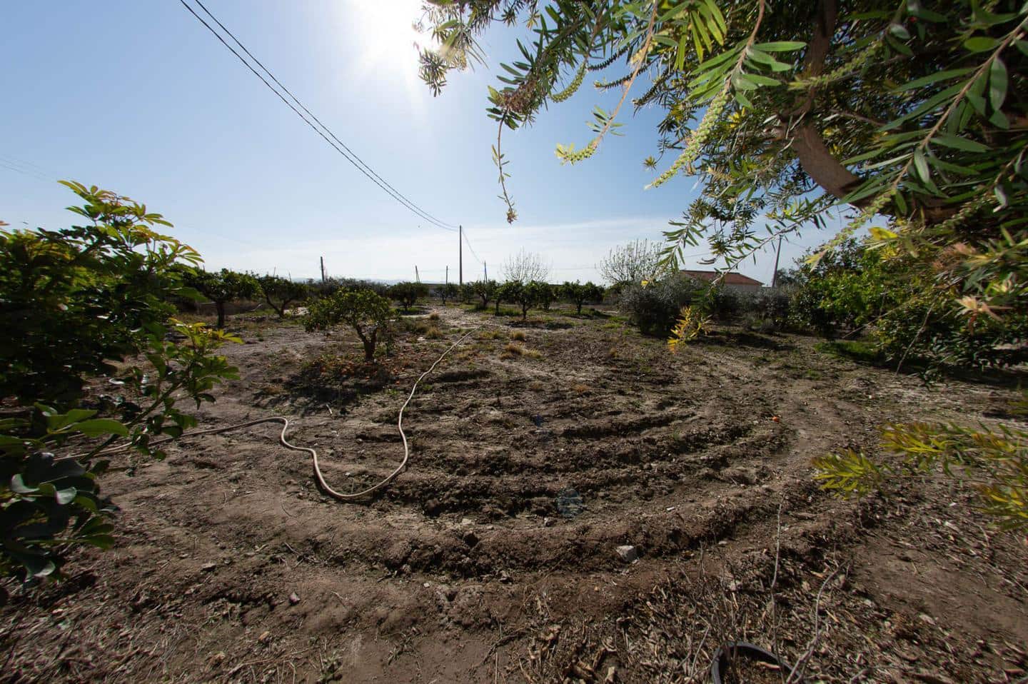 3 soveværelse Virksomhed til salg i Lorca - € 340.000 (Ref: 9776986)